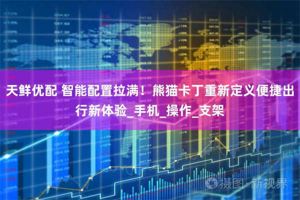 天鲜优配 智能配置拉满！熊猫卡丁重新定义便捷出行新体验_手机_操作_支架