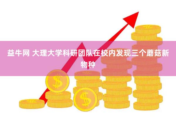 益牛网 大理大学科研团队在校内发现三个蘑菇新物种